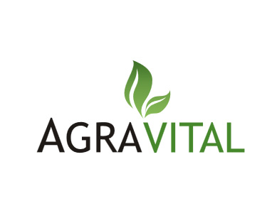 Gravital